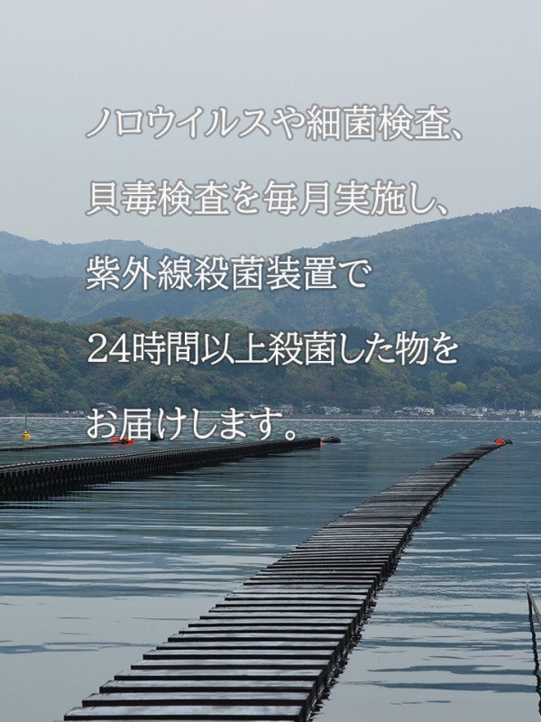 大入島オイスター   生食用真牡蠣