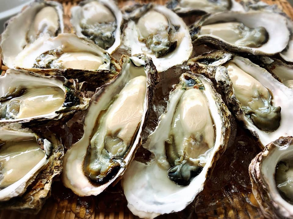 大入島オイスター   生食用真牡蠣