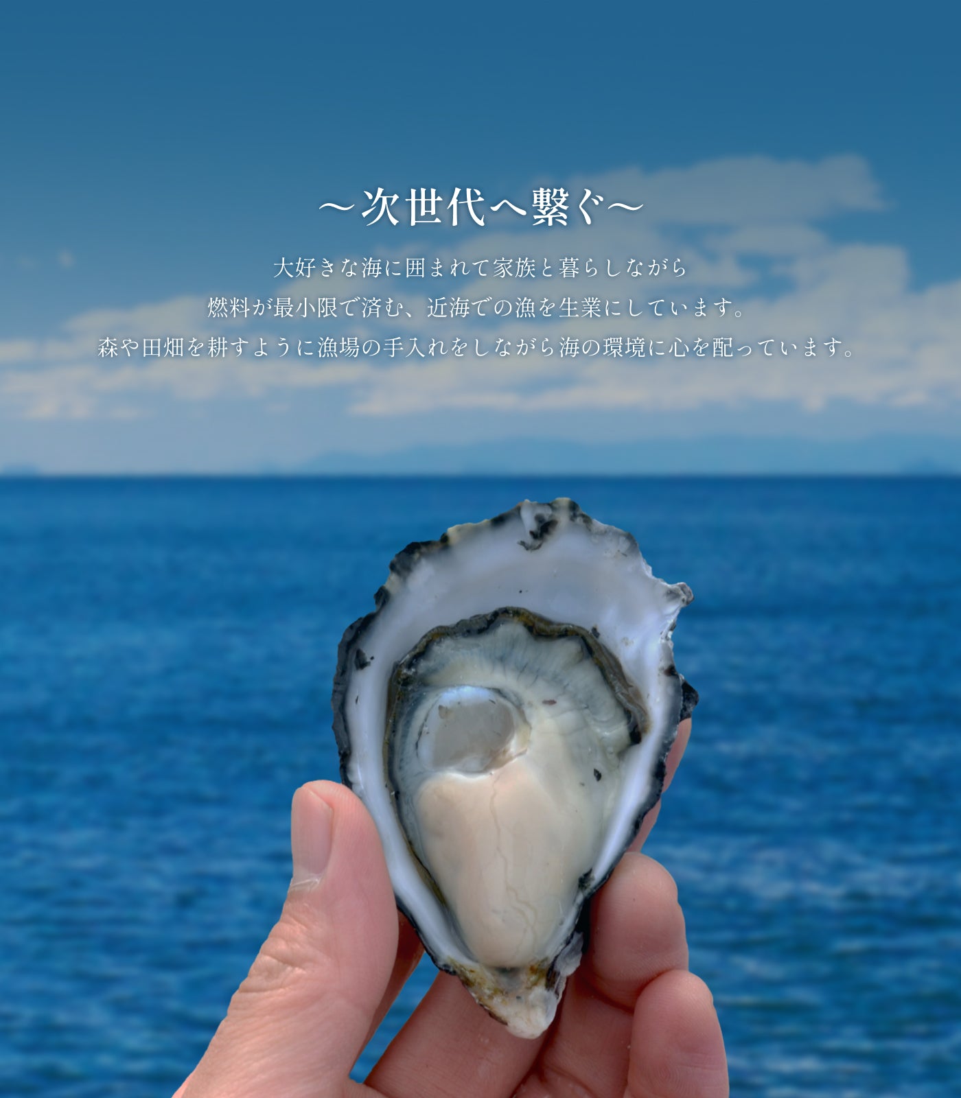 合同会社新栄丸　牡蠣　メイン画像